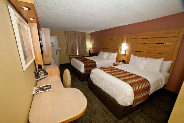 Desoto Beach Hotel image 25